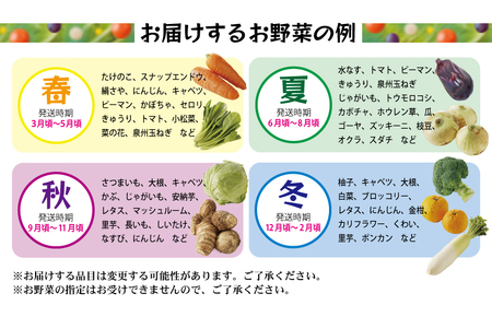 旬の野菜セット 詰め合わせ 7種類以上 国産 新鮮 お試し おまかせ お楽しみ