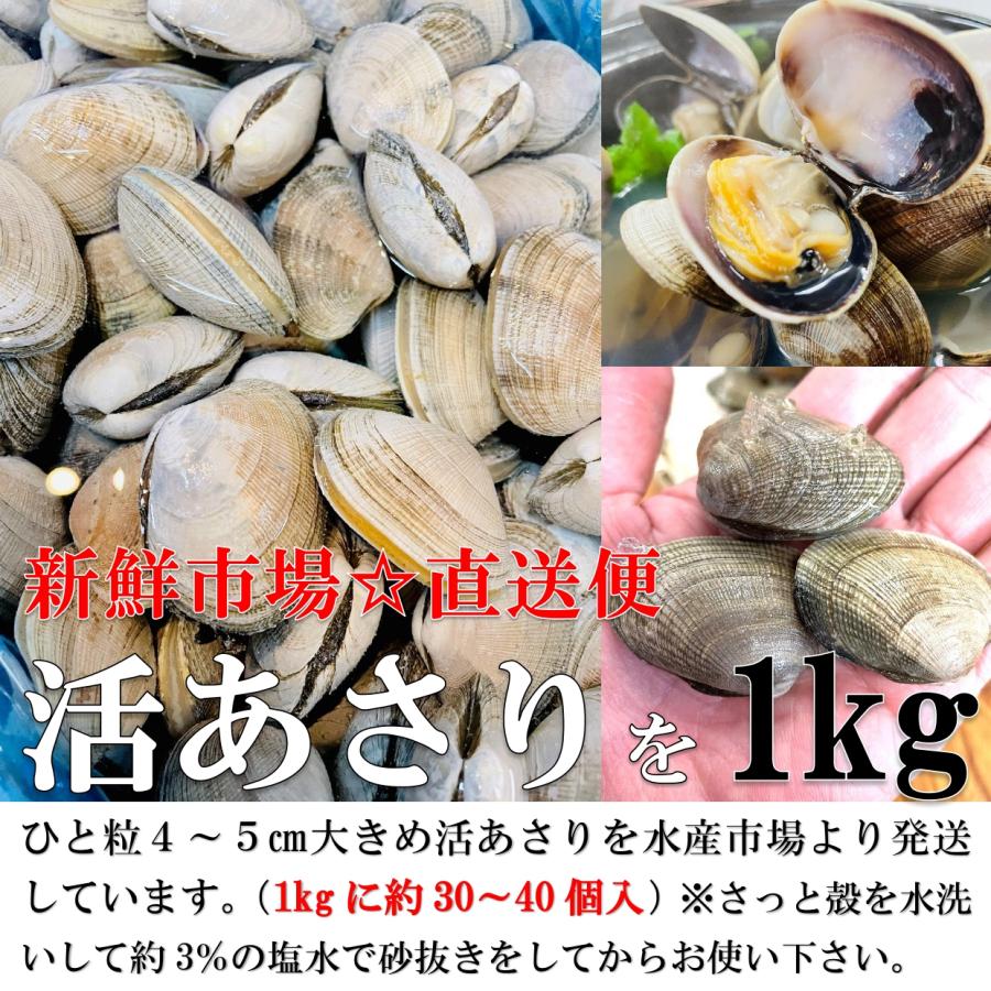 活あさり 1kg 北海道産 大粒 1個20〜30g 大粒あさり 国産 あさり 天然あさり アサリ  浅利 活貝