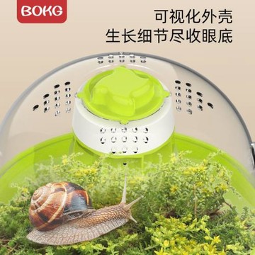 BOKG昆蟲觀察盒白玉蝸牛觀察艙戶外探索兒童科學實驗觀察套裝玩具