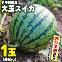 ＜先行予約＞　八千代町産　スイカ　大玉　1玉（約6kg）[AX017ya]