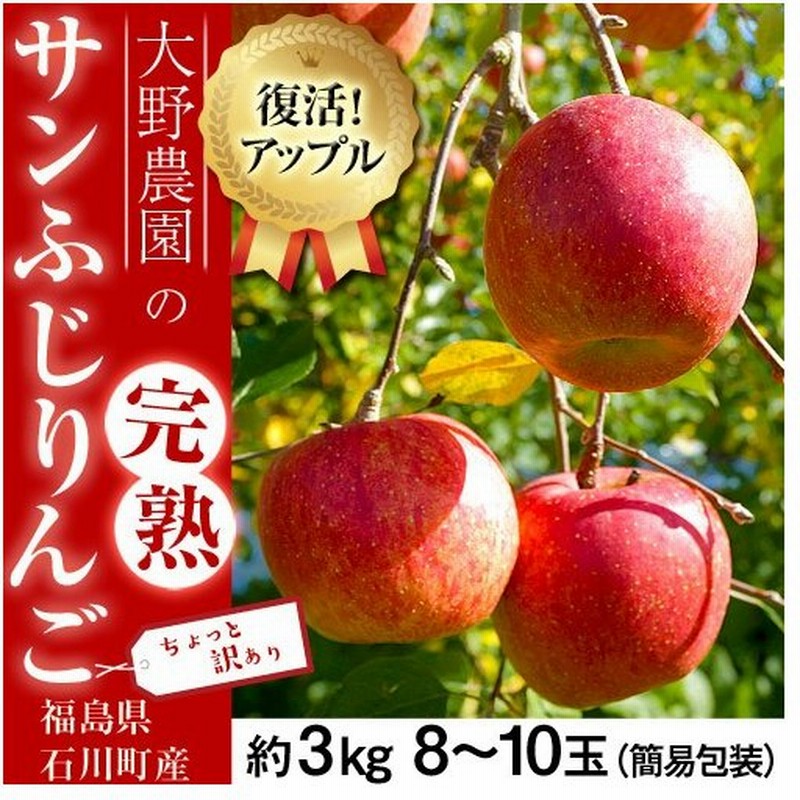 りんご 林檎 リンゴ 訳あり 大野農園 復活アップル サンふじりんご 福島県石川町産 約3kg 8 10玉 送料無料 常温 産地直送 福袋 新春 通販 Lineポイント最大0 5 Get Lineショッピング