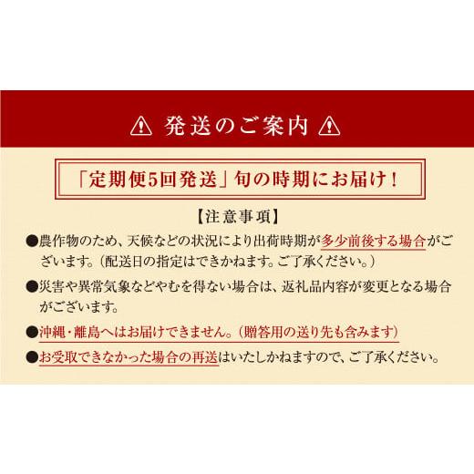 ふるさと納税 福島県 田村市 ＼ 旬の時期お届け！全5回 ／ フルーツ定期便B 農家直送 自分へのご褒美 ※数量限定 旬 季節 果物 フルーツ セット…