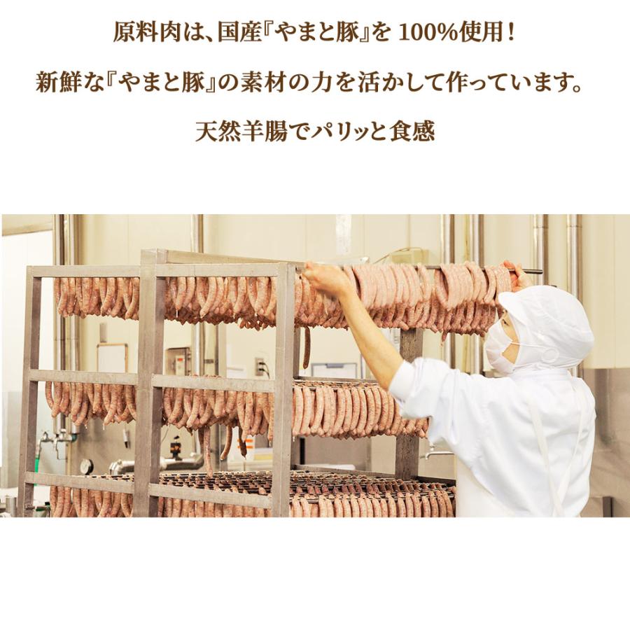 訳あり ウインナー ポーク 2Kg [冷凍] ソーセージ 食品ロス 訳アリ 訳あり食品 アウトレット 食品 メガ盛り 在庫処分 フードロス お取り寄せ 国産 肉 豚肉