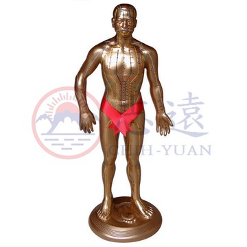 【志遠】§台灣製現貨§ 針灸銅人模型 小銅人52cm 中銅人90cm 玻璃纖維 針灸經穴模型 經穴銅人 人體穴位 經絡