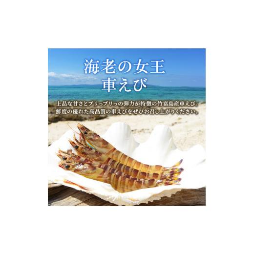 ふるさと納税 沖縄県 竹富町 2024年 先行予約 車えび 1kg 竹富島産 冷凍 エビ