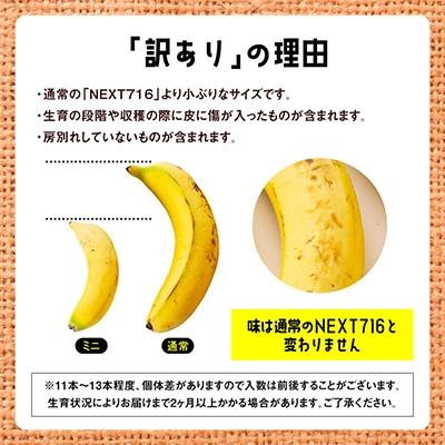 ふるさと納税 川南町  国産ミニバナナ1kg