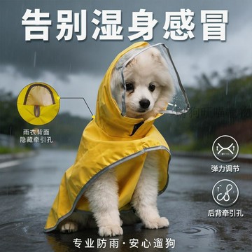 💕在臺出貨🔥博美展現小狗雨衣小狗專用雨衣蛋黃俠小狗雨天外出雨衣小的狗衣服