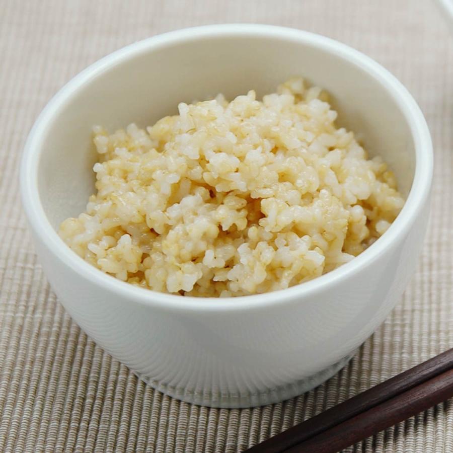 レトルトご飯 玄米ご飯 プレーン 5個 チャヤ マクロビ 玄米ごはん レトルト パック レンジ ご飯 玄米 まとめ買い 食品