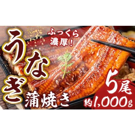 ふるさと納税 RZ001 お魚屋さんのうなぎ蒲焼 約1000ｇ（5尾）ウナギ ふっくら肉厚 大容量 福岡県篠栗町