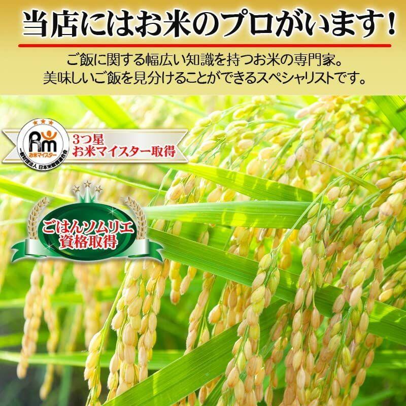 当日精米令和4年度 山形県産 玄米 はえぬき 5kg (無洗米に精米する)