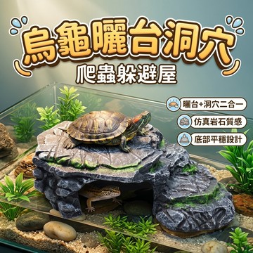 大號烏龜曬台 爬蟲樓梯爬台 躲避屋 水族箱寵物造景 烏龜晾曬台