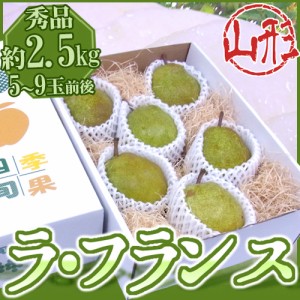 山形産 ”ラフランス” 秀品 5～9玉前後 約2.5kg 化粧箱 ラ・フランス 洋梨 送料無料