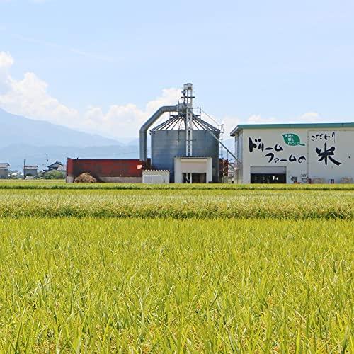 令和4年産 富山県産 コシヒカリ 黒部川扇状地で育ったドリームファームのこだわり米 (3kg) 一等米