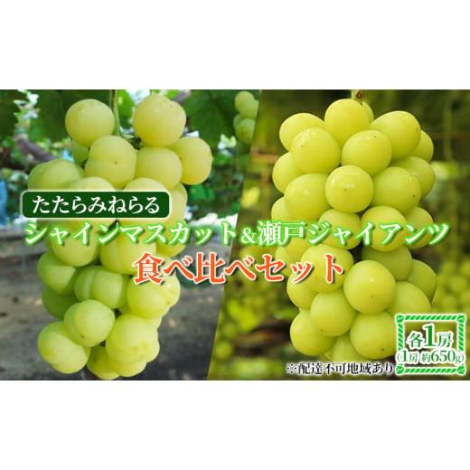 ふるさと納税 岡山県 里庄町 ぶどう 2024年 先行予約 たたらみねらる シャインマスカット＆瀬戸ジャイアンツ 食べ比べセット 各1房（１房約650g）