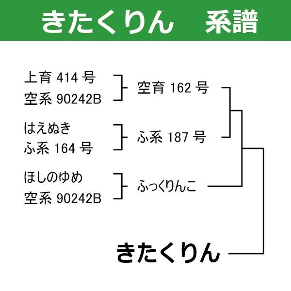 新米　北海道産 きたくりん 玄米 30kg 令和5年産　農薬節減米　一等米　北海道米