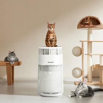【一年份濾網組】Honeywell貓咪UVC殺菌抗敏清淨機HPA360WTW