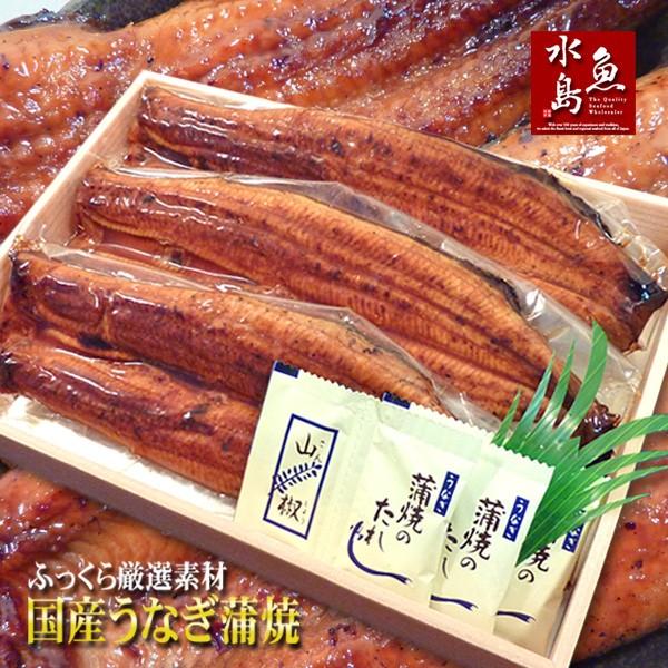 国産 鰻うなぎ蒲焼き ふっくら厳選素材 約30cm超特大 約200g×3尾 父の日ギフト 土用丑の日 お中元