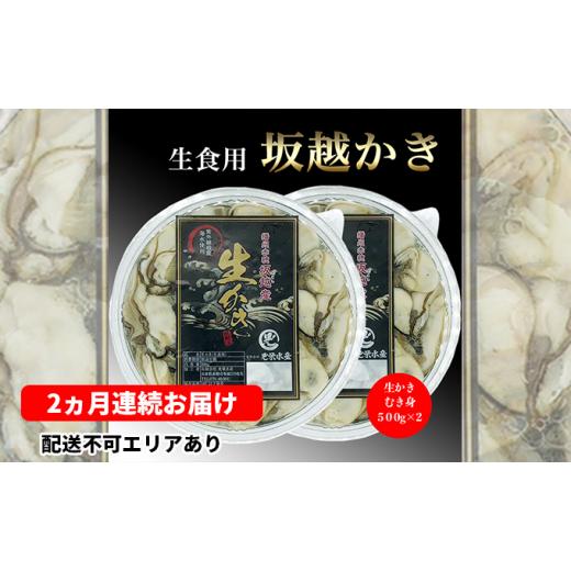 ふるさと納税 兵庫県 赤穂市 定期便 牡蠣 坂越かき 剥き牡蠣 500g×2[ 生牡蠣 かき カキ むき身 剥き身 生食