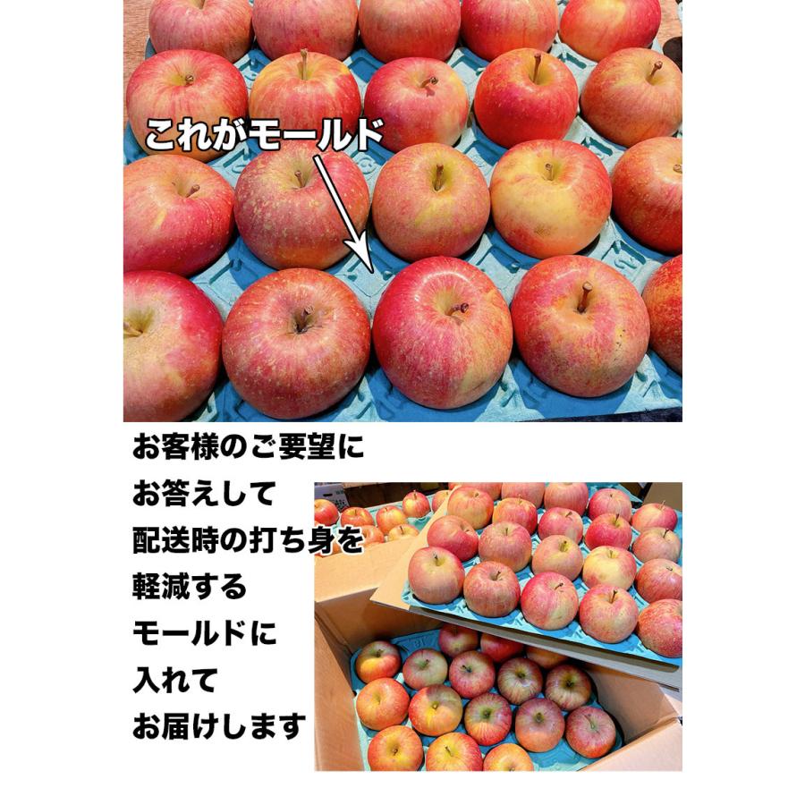 りんご 訳あり 10kg箱 青森県産 サンふじ りんご 10Kg前後 送料無料 糖度保証 りんご 訳あり 約10Kg 予約 11月上旬頃発送