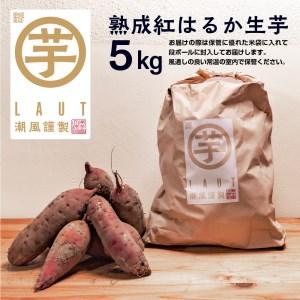 ふるさと納税 干し芋屋のさつまいも 熟成 紅はるか 生芋 5kg 無添加 無着色 茨城県産 サツマイモ 土付き 芋 さつまいも さつま芋 薩摩芋 紅遥 べ.. 茨城県大洗町