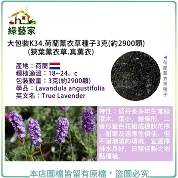 【綠藝家】大包裝K34.荷蘭薰衣草種子3克(約2900顆)(狹葉薰衣草.真薰衣)