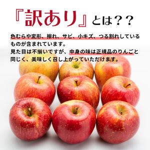 ふるさと納税   旬の美味しい りんご 約10kg 青森産   青森県五所川原市