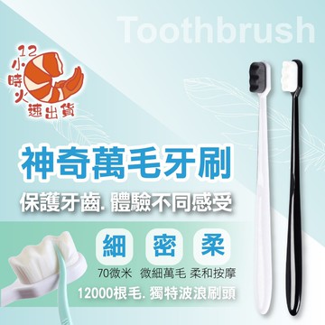 【現貨&限時免運中】日本人都在用！萬毛牙刷 牙刷 萬毛健康牙刷 微奈米萬毛牙刷 牙刷 12000根 毛刷 萬毛 牙刷