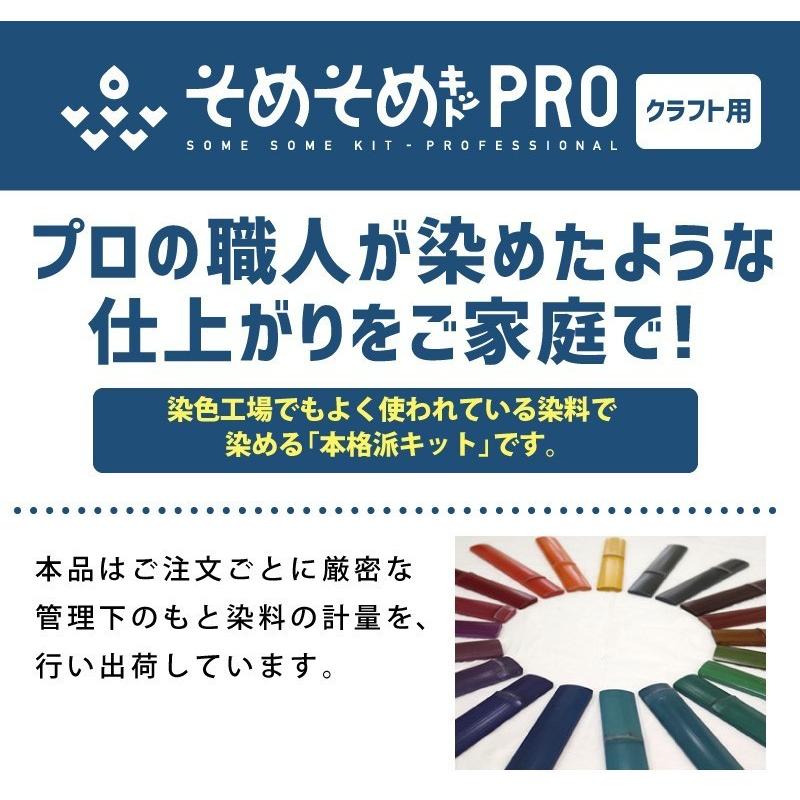 キット 染め メール便のみ 枇杷茶色 染料 そめそめキットProクラフト 木材 竹 籐 白地アクリル繊維 Mサイズ　ブラウン 茶色