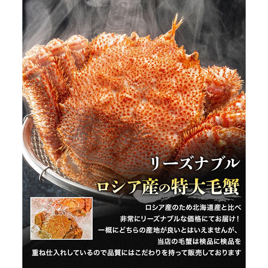 ロシア産 毛ガニ 特大1尾 約900g〜1.1kg 送料無料 毛蟹 毛がに ケガニ 蟹 カニ かに グルメ 食品 お歳暮 ギフト 10%クーポン