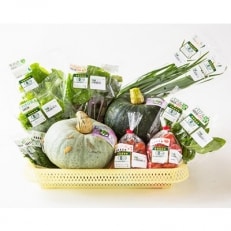 北斗市産　有機野菜8～10種類野菜セット 紙箱入(季節で種類が変わります)