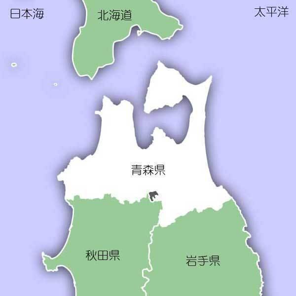 [青森米 令和4年産] 無洗米 青森県産 青天の霹靂 20kg (5kg×4袋) ピロータイプ平袋入 日本全国銘米シリーズ 白米 お米 おいしい 堀商店 ギフト対応 送料無料