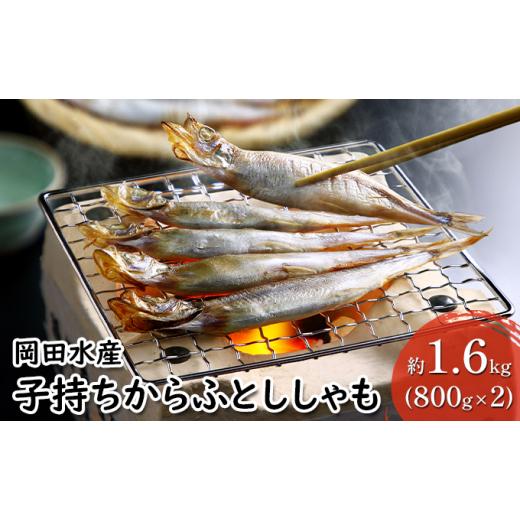 ふるさと納税 北海道 赤平市 子持ちからふとししゃも 約1.6kg(800g×2) 樺太 魚シシャモ メス おつまみ