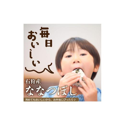 ふるさと納税 北海道 石狩市 84-12T001 石狩米ななつぼし 5kg×12回