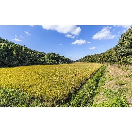 ふるさと納税 大分県 豊後高田市 大分の山と谷が育てたヒノヒカリ（玄米・5kg）