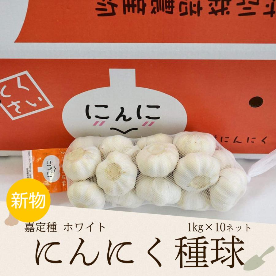 特栽にんにく 1kg×10ネット 中国産