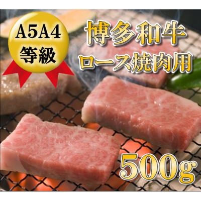 ふるさと納税 田川市 博多和牛ロース焼肉用500g(田川市)