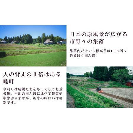 ふるさと納税 令和5年産新米 新潟県産コシヒカリ「特選いちのまい」5kg×6回 計30kg 米・食味鑑定士お墨付き 新米 精米し.. 新潟県糸魚川市