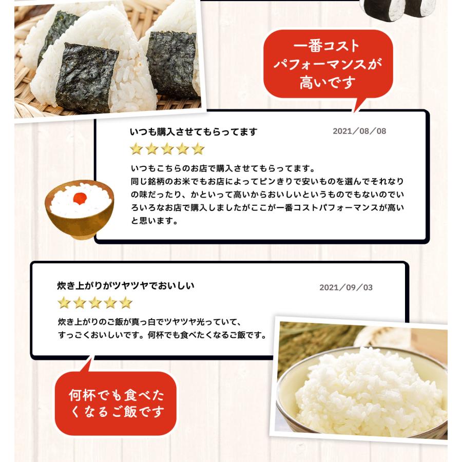 米 10kg 無洗米 森のくまさん 熊本産 最新年度産 特A評価 精米 うるち 白米 お米 ご飯 常温便