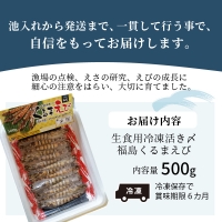 生食用冷凍活き〆福島くるまえび500ｇ