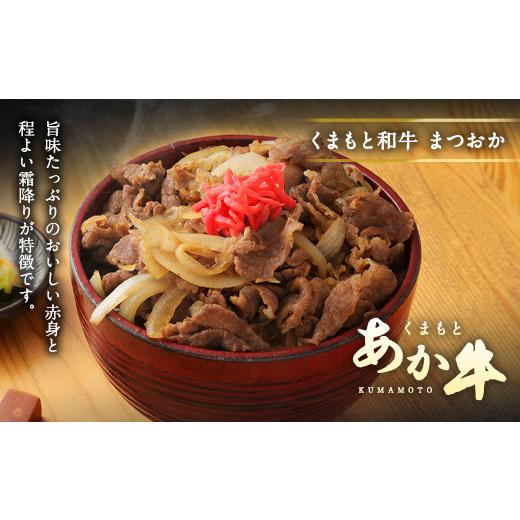 ふるさと納税 熊本県 水俣市 くまもと あか牛 小間切れ 500g×2 計 1kg 赤身 霜降り 牛肉