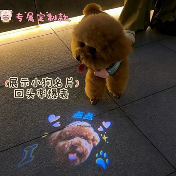 台灣發貨 寵物夜溜投影燈 寵物社交投影燈 狗狗夜行散步防走失 狗狗投影燈 狗狗投影項圈 來圖定制 客製投影燈 禮物