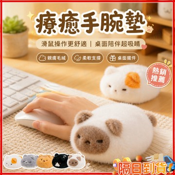 台灣隔日達【新品下殺】可愛面包喵手腕趴 癒可愛趴趴造型貓咪玩偶 貓抱枕 靠墊 趴睡 靠枕 毛絨玩偶 趴趴貓 毛絨 手腕墊