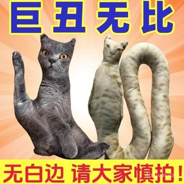💯【台灣出貨】💯🔥diy定制寵物抱枕 客製抱枕 醜貓抱枕 異形玩偶 人物貓狗寵物 來圖定做 免費摳圖 趣味惡搞禮物
