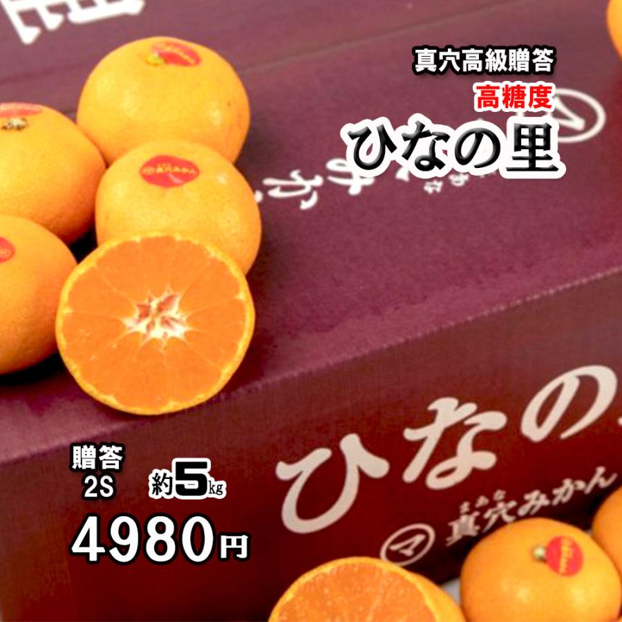 みかん 真穴みかん 贈答 ひなの里 お歳暮 2Ｓ 数量限定 真穴 高級みかん 約5ｋｇ 送料無料