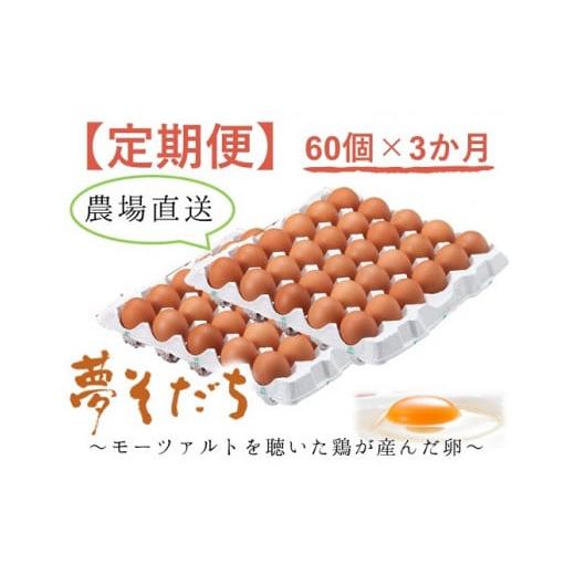 ふるさと納税 兵庫県 たつの市 F-37 夢そだち卵60個×３か月定期