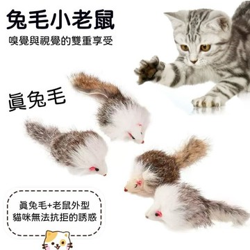 【24時特賣】貓玩具 毛絨老鼠 毛絨玩偶 貓咪解悶玩耍 柔軟材質 仿真小老鼠 貓咪互動 磨牙潔齒 寵物玩具 貓豐榮玩具