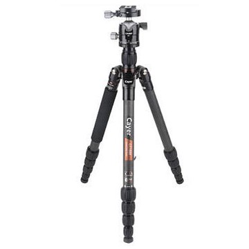Cayer 卡宴 牧遊者 CT1550G1 旋鈕型 可反折 碳纖維 5節 三腳架 (公司貨)