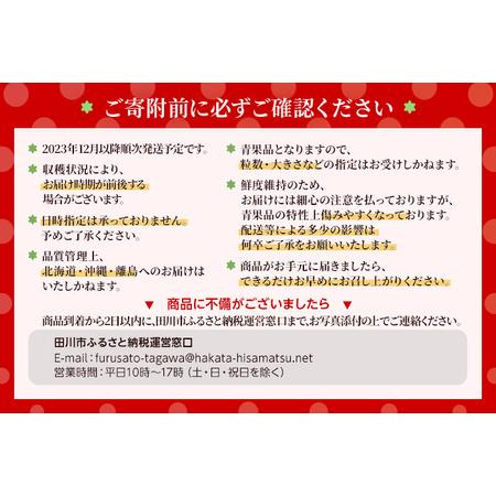 ふるさと納税 農家直送 朝採り新鮮いちご [(約270g)×4パック]＜2023年12月以降順次出荷予定＞ 福岡県田川市