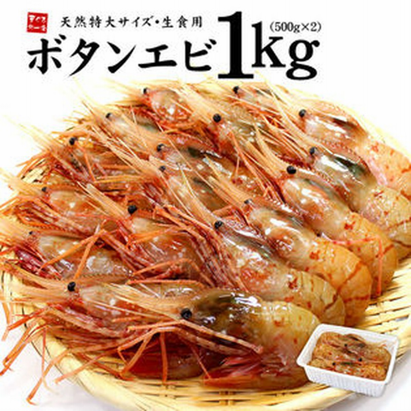 1kg 16 尾 超特大ボタンエビ ぼたんエビ500g 2p 通販 Lineポイント最大1 0 Get Lineショッピング