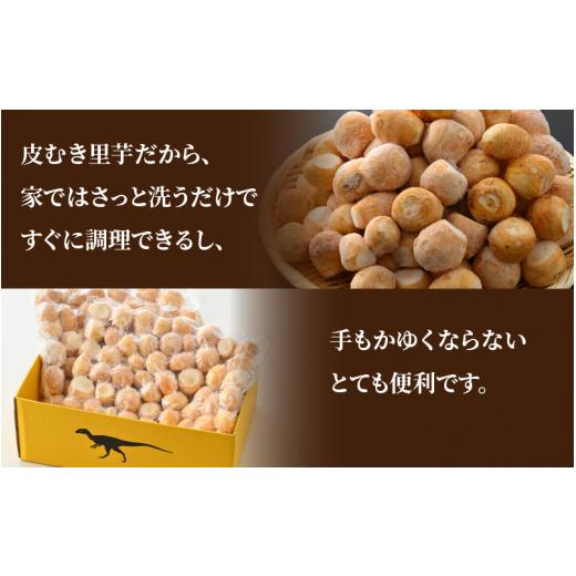 ふるさと納税 福井県 勝山市 奥越産 皮むき里芋 1.2kg×2P（マル秘レシピ付き） [A-037009]